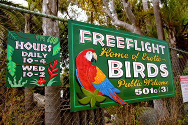 Free Flight Exotic Bird Sanctuary (16)