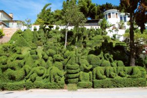 Visit Harper's Topiary Garden, San Diego's own Edward Scissorhand garden!