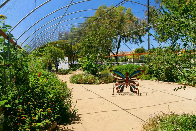 Butterfly Farm Hidden San Diego