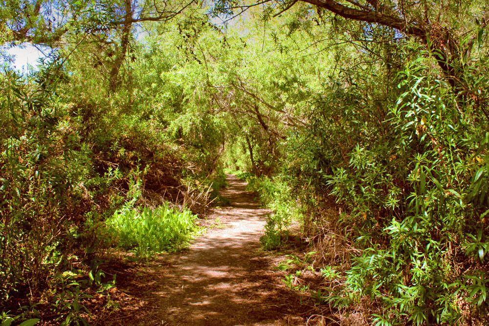 Kumeyaay Lake & Campground Hidden San Diego