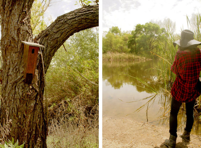 Kumeyaay Lake & Campground Hidden San Diego