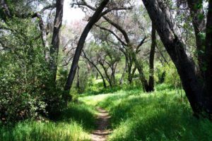 Hike the Luelf Preserve, one of Ramona's pretty hiking trails!