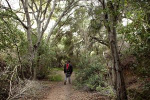 Hike Marian Bear Park East, one of Clairemont's most diverse trails!