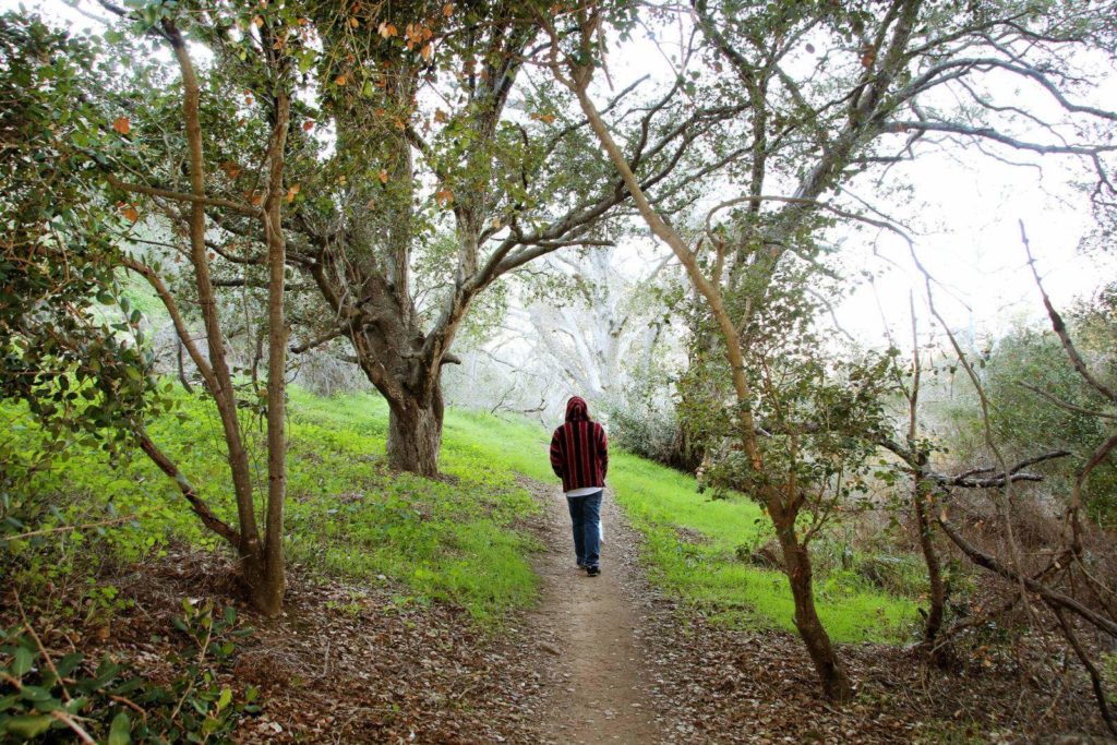 Hike Marian Bear Park, one of Clairemont's most diverse trails!