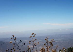 Palomar Mountain is one of San Diego's most diverse mountainscapes! From lush green hiking trails to camping spots, you'll feel you're in another city!