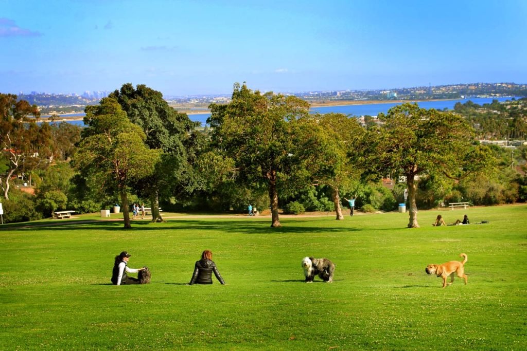 Get one of the best views in Pacific Beach from Kate Sessions Park!