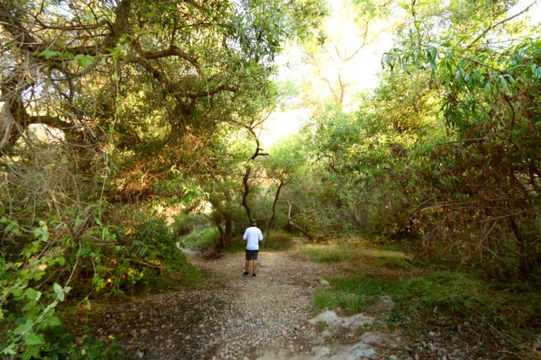 Abandoned | Hidden San Diego