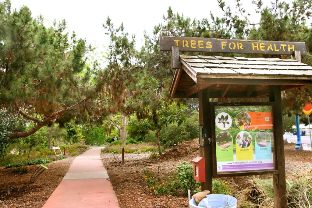 Balboa Park has one hidden area that may be healthier than the rest: Trees For Health. Educate yourself on medicinal trees while taking a nature stroll.