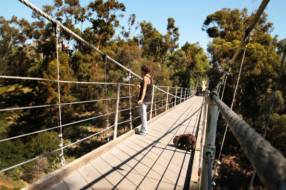 Walk across one of San Diego's most historic and scariest bridges, the Spruce Street Suspension Bridge!