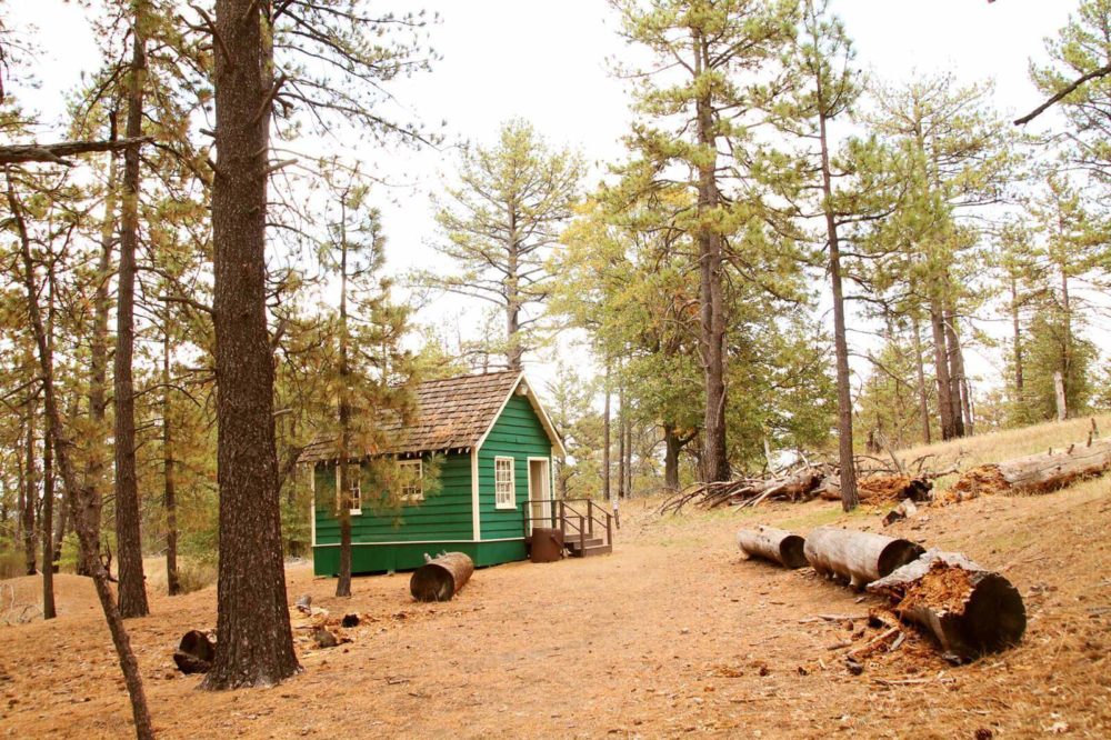 Visit the Stonewall Mine Ruins and old cabin in Cuyamaca for a slice of San Diego's mountain history!