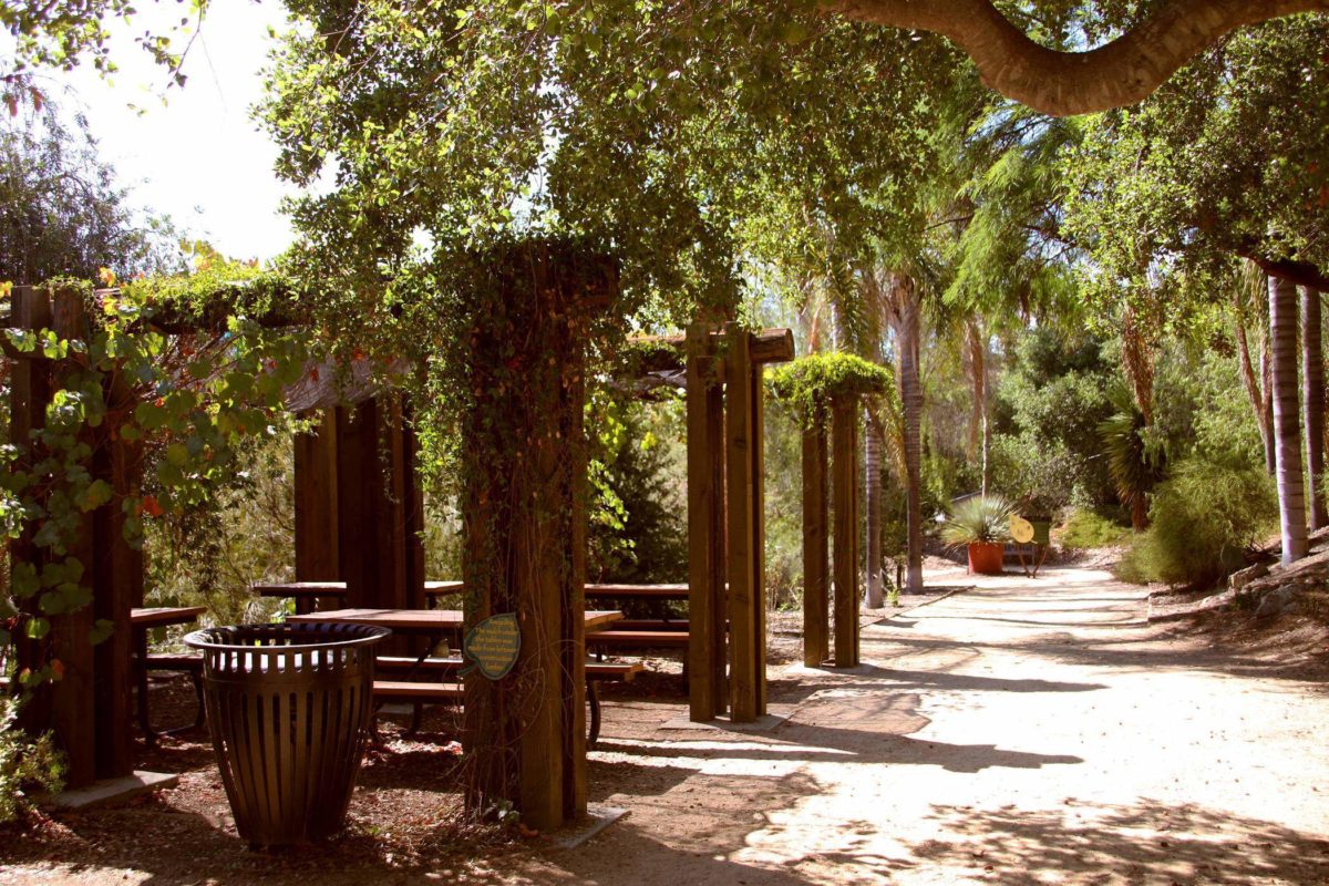 Explore El Cajon's 5 acre Water Conservation garden, free to the public! Roam around the different sections while educating yourself.