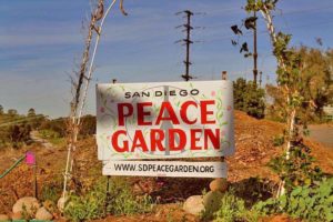 Visit the Peace Garden. This is one of San Diego's greatest community gardens located in City Heights!