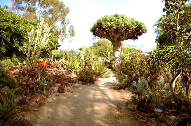 san diego botanical garden