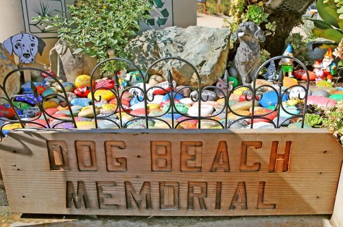 Dog Beach Memorial Garden hidden san diego