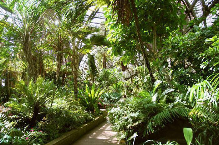 The Balboa Botanical building in Balboa Park is a beautiful and free place to visit.