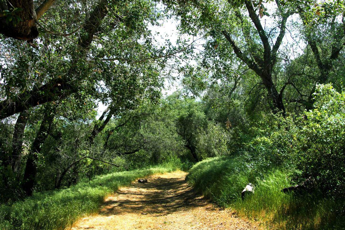 Hike the Luelf Preserve, one of Ramona's pretty hiking trails!