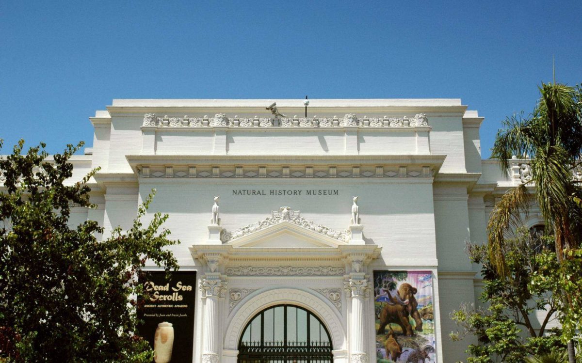 Visit the world-famous Natural History Museum in Balboa Park!
