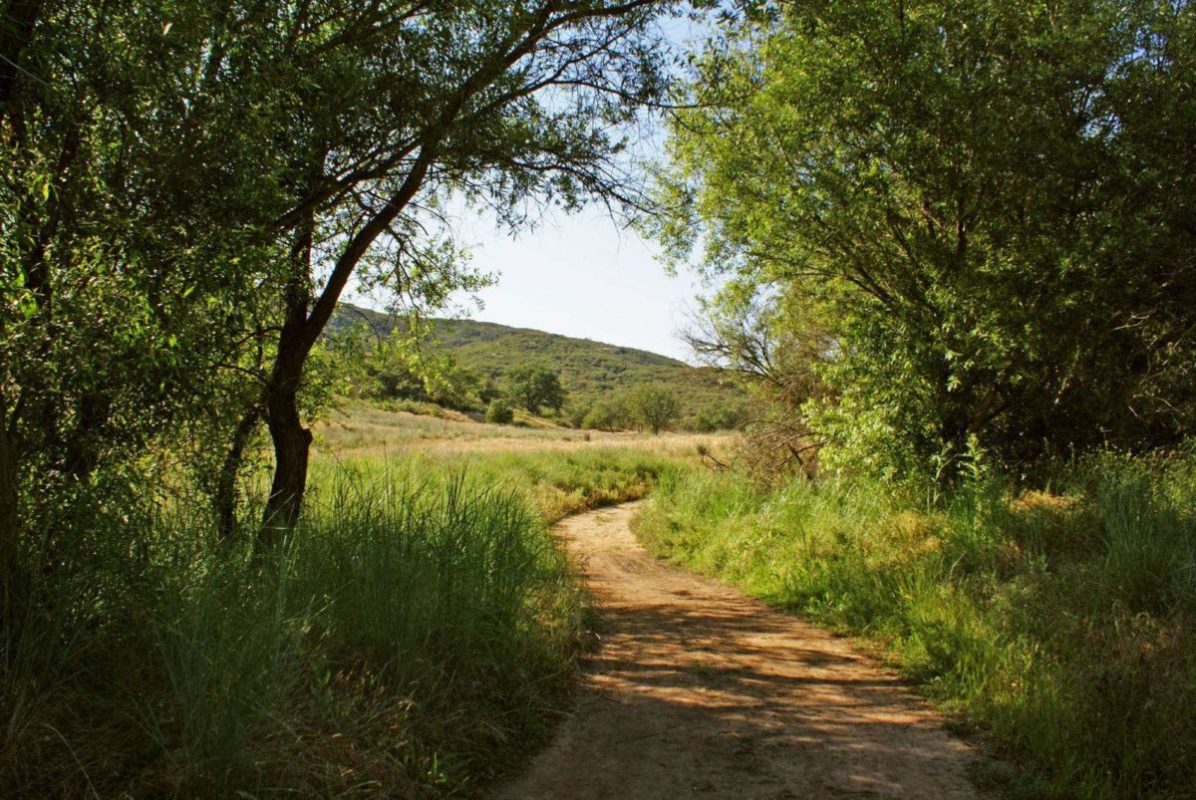 Hike to one of the earliest pioneer's homes at Daley Ranch in Escondido