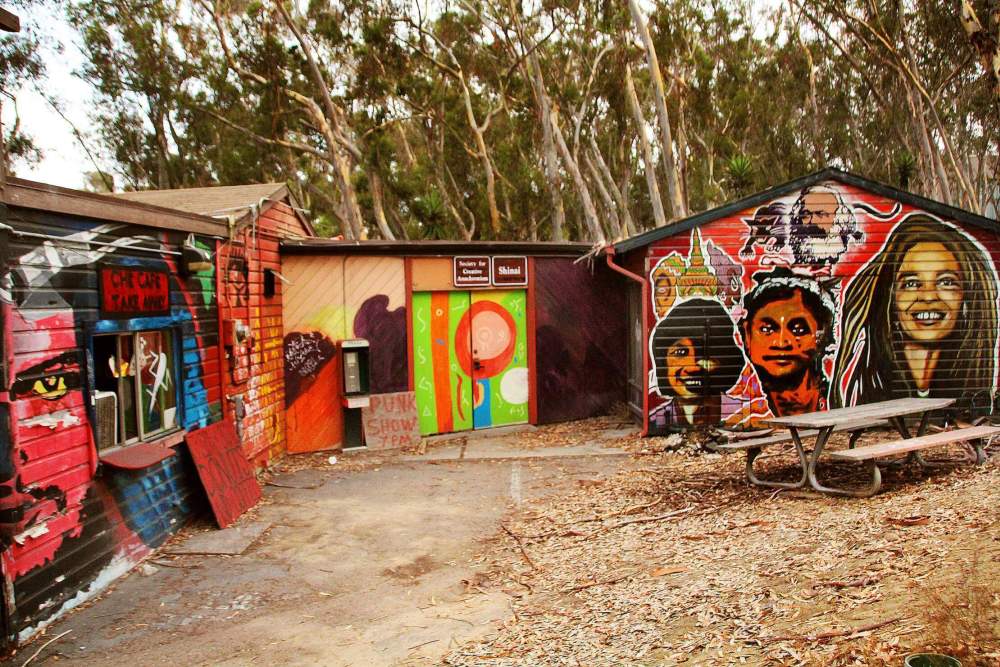 Visit the Che Cafe in La Jolla. This is one of San Diego's historic music venues tucked into the woods of UCSD