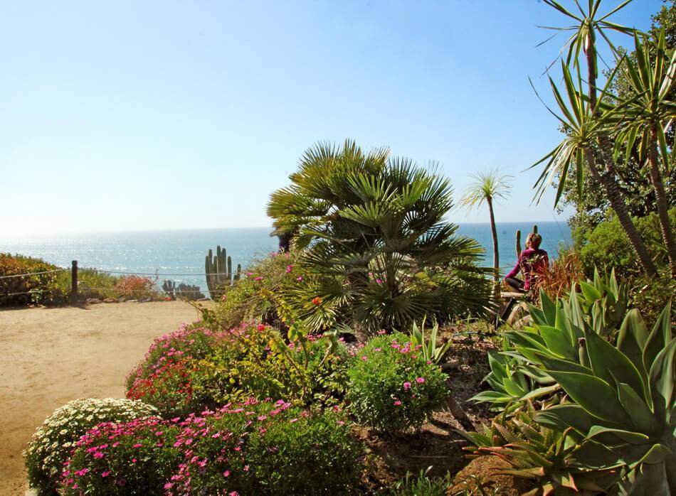 Visit the Hermitage Self-Realization Gardens, one of San Diego's most peaceful meditation gardens