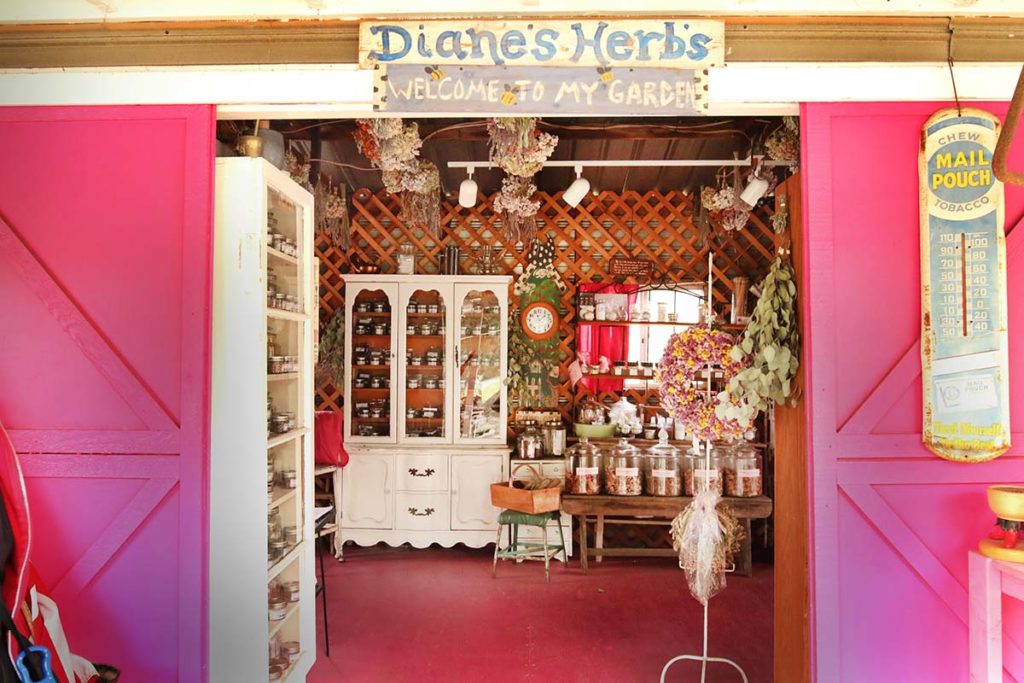 Diane's Herbs