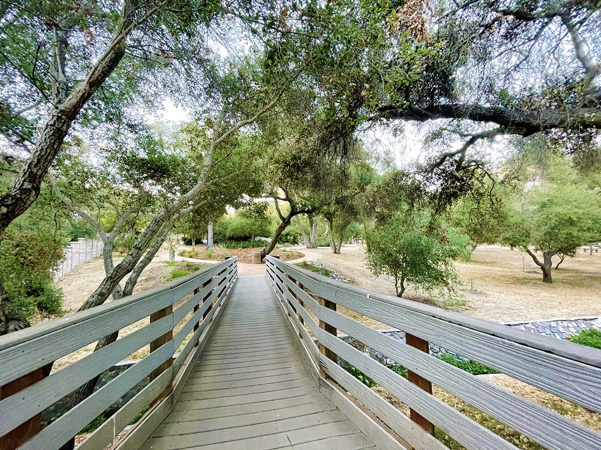 Live Oak County Park Hidden San Diego