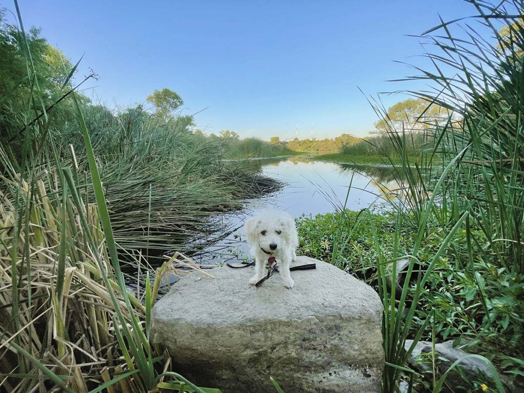 Kumeyaay Lake & Campground Hidden San Diego