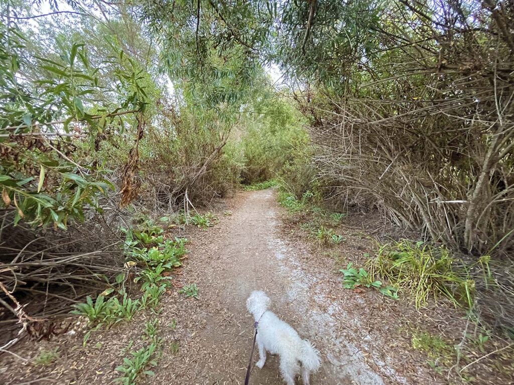 Kumeyaay Lake & Campground Hidden San Diego
