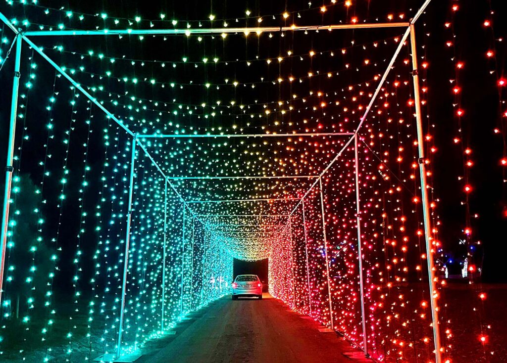 Best Christmas Light Displays & Events In San Diego