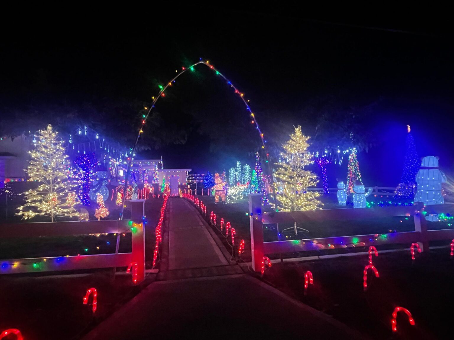 Best Christmas Light Displays & Events In San Diego