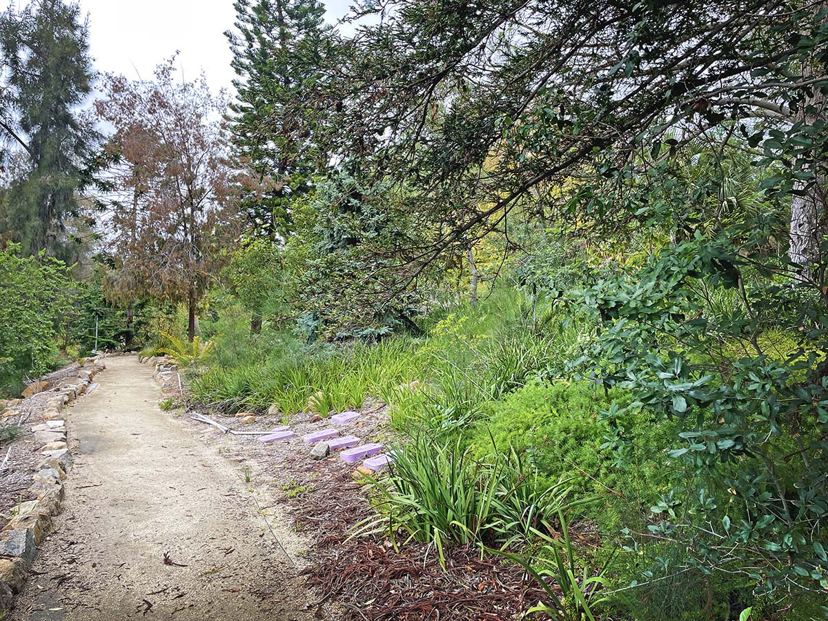 Palomar College Arboretum