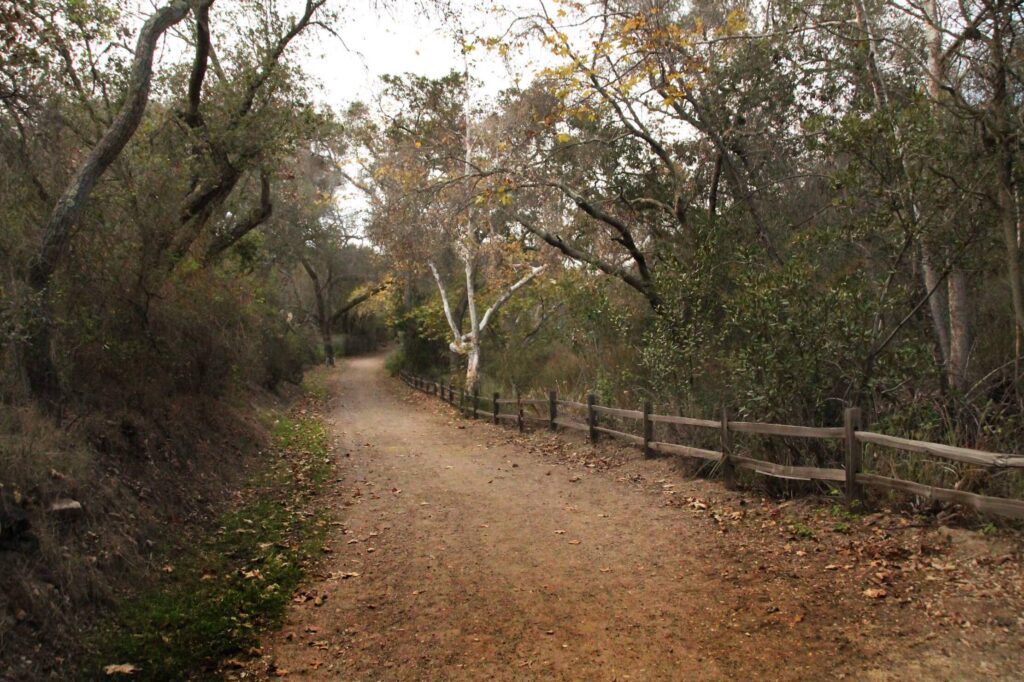 50 Unique Dog Friendly Hikes In San Diego Hidden San Diego