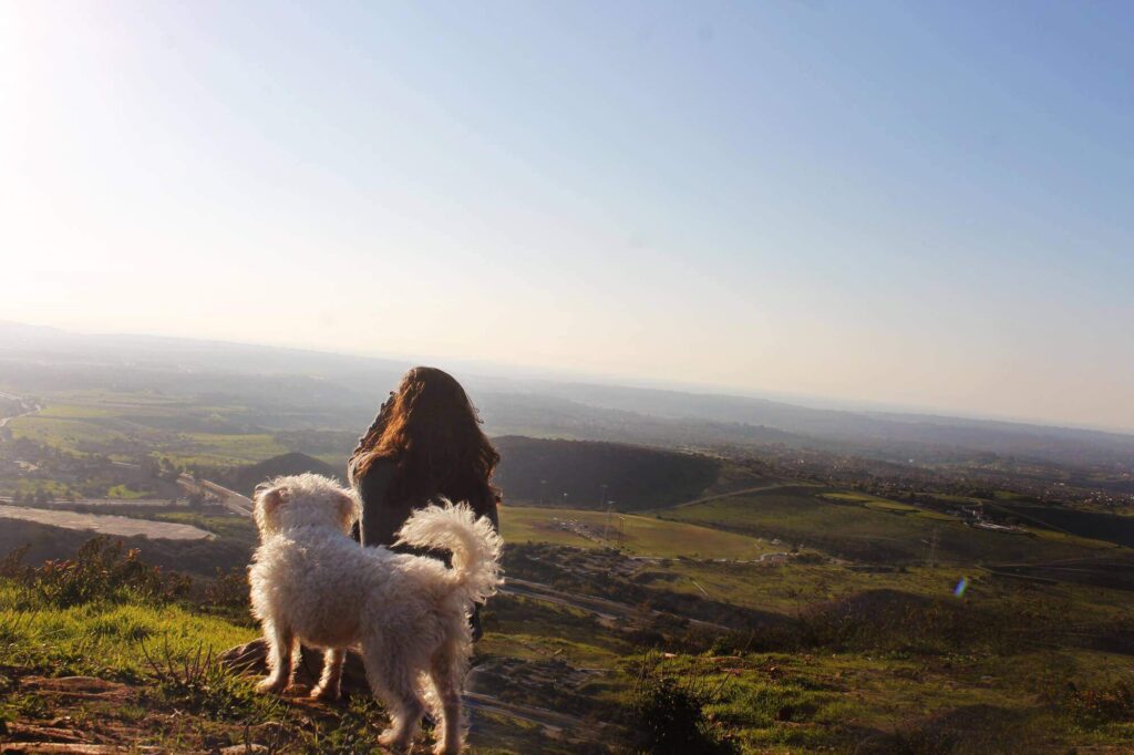 Unique Dog Friendly Hikes in San Diego