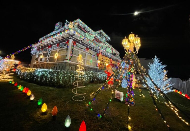 Best Christmas Light Displays & Events In San Diego