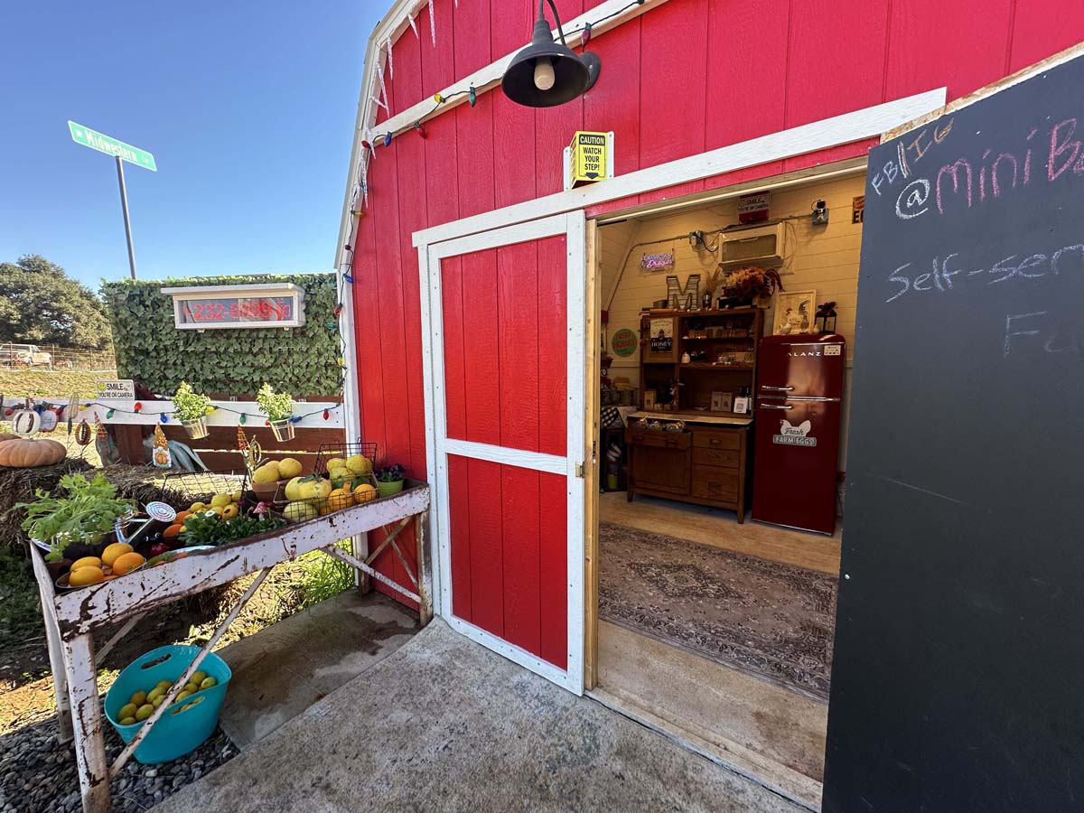 Mini Barn Market Hidden San Diego