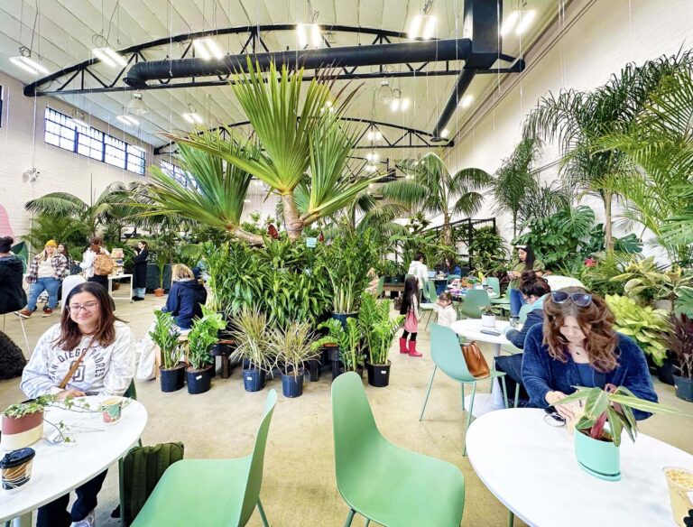 Terra Bella Nursery Hidden San Diego