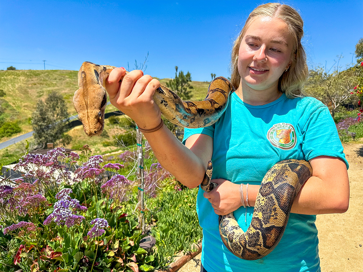 Wild Wonders | Hidden San Diego