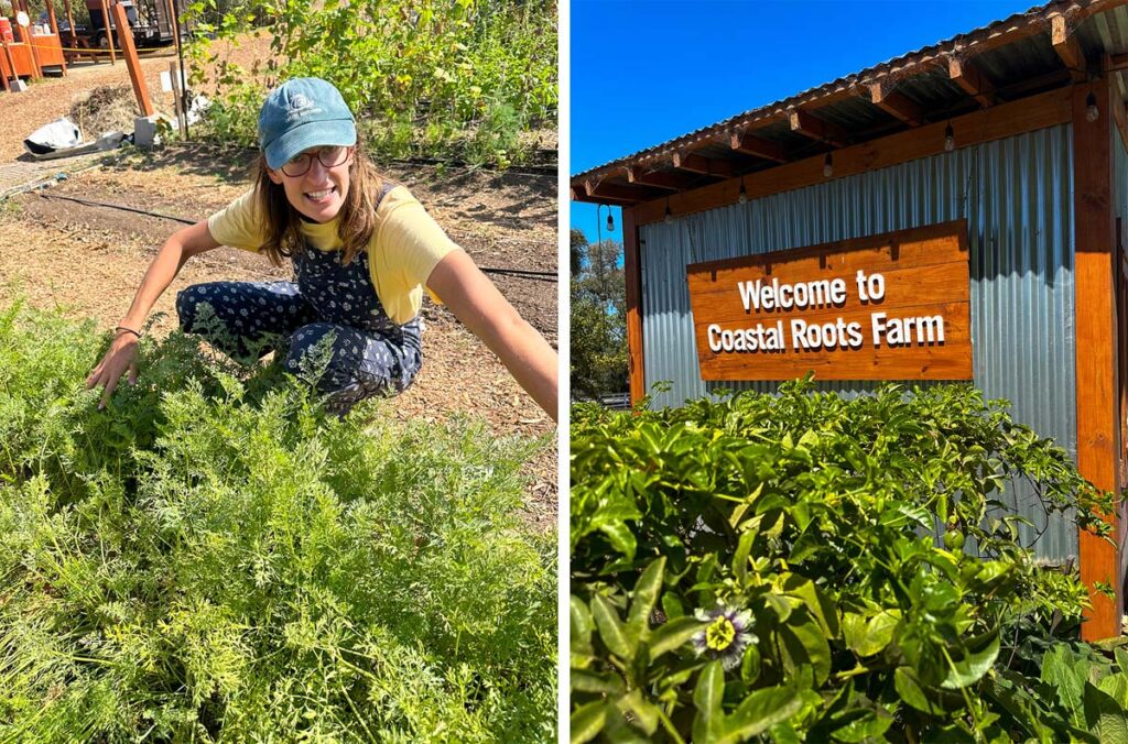 Coastal Roots Farm