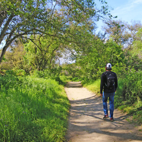 Wilderness Gardens County Preserve