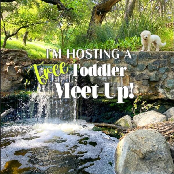 Free Toddler Meet-up At Felicita Park