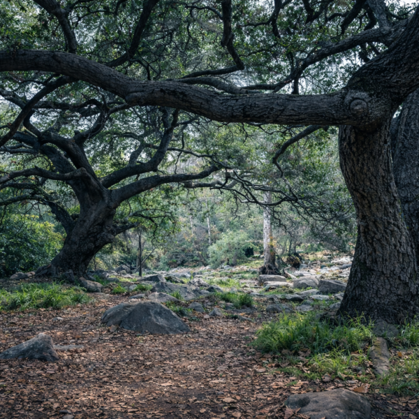 Flinn Springs County Park