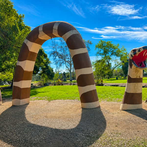 Hidden Gems of Kit Carson Park