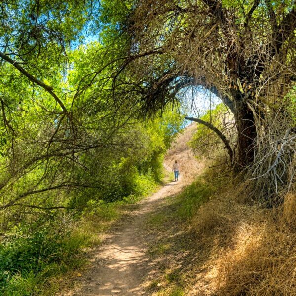 Lopez Canyon Trail