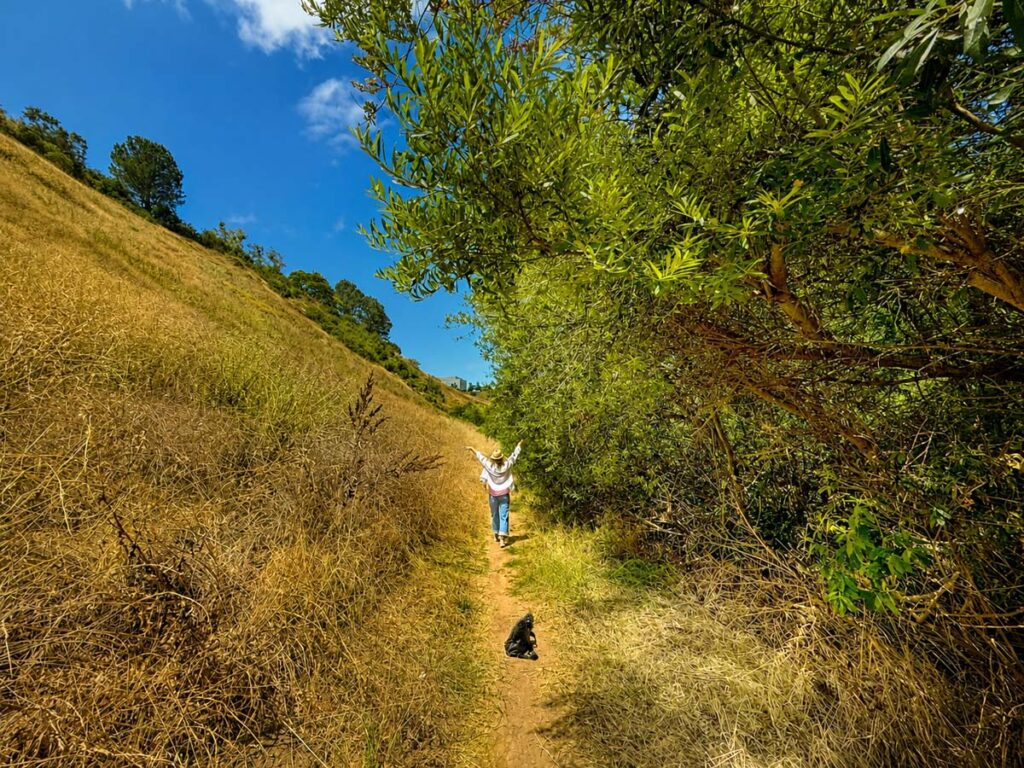 lopez canyon trail
