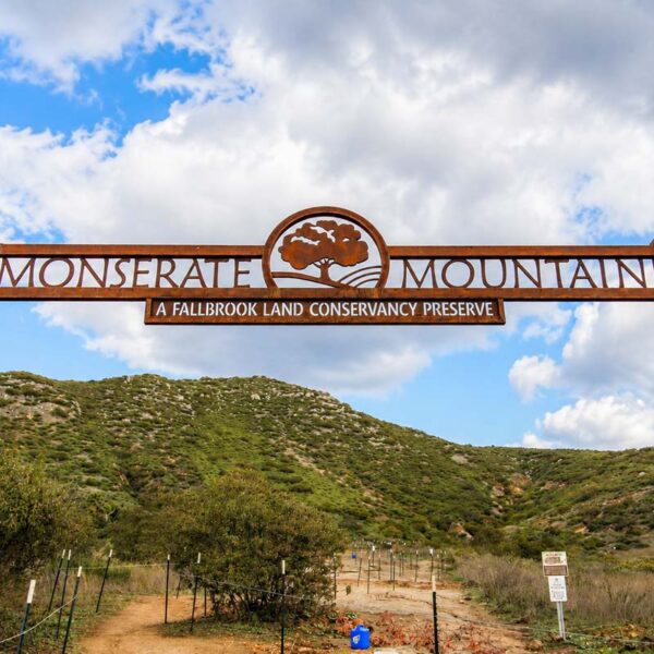 Monserate Mountain Trail