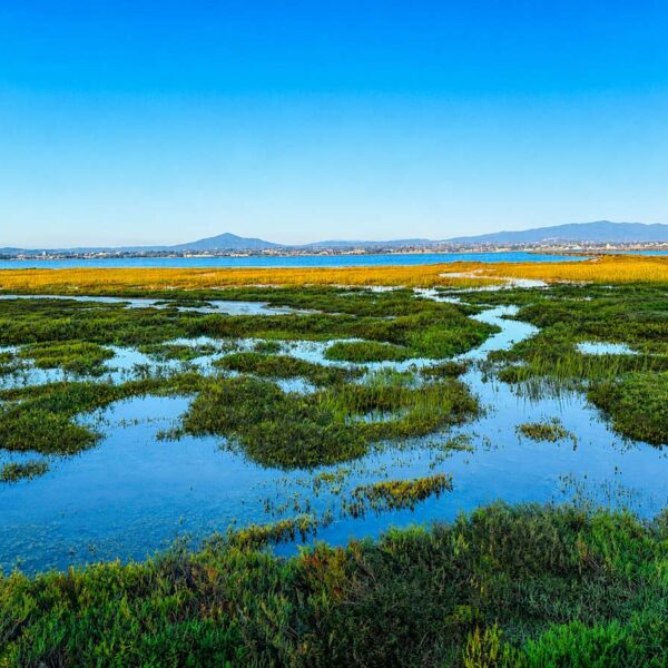 Silver Strand State Beach