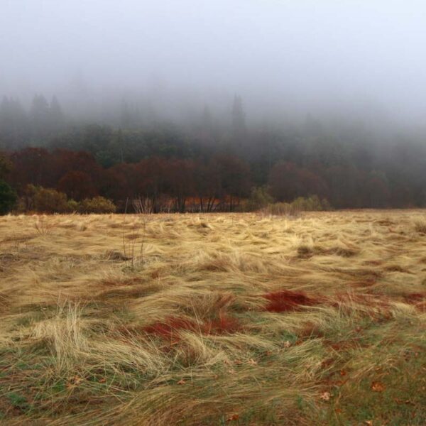 Upper Doane Valley Trail
